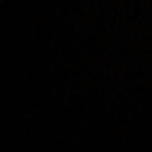 Meet your Posher, Lily